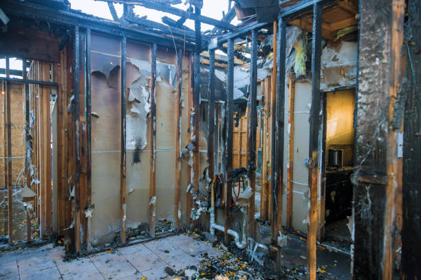 Professional Fire Damage Assessment technician working in Morris, MN